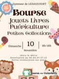 Bourse aux jouets, livres, petites collections